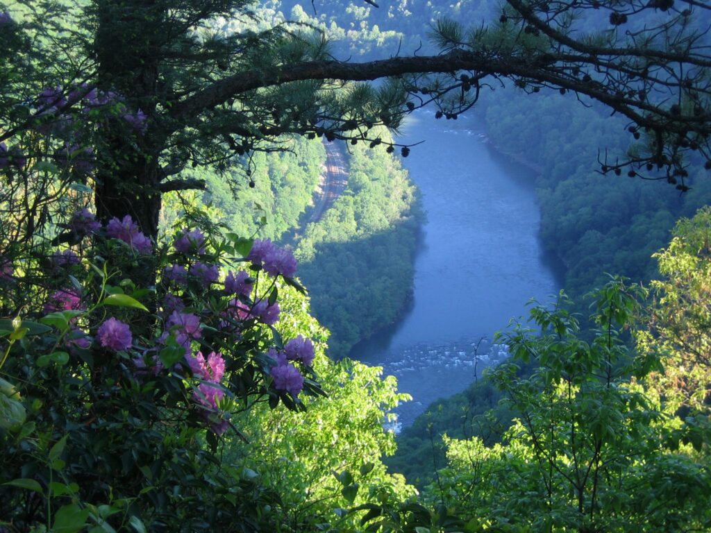 NPS photo/Dave Bieri, Grandview Turkey Spur