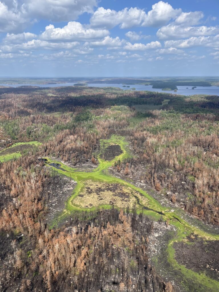 Aerial mosaic of burned/unburned forest and lakes, July 2026 Superior NF wildfires. U.S. Forest Service via InciWeb. Public domain.