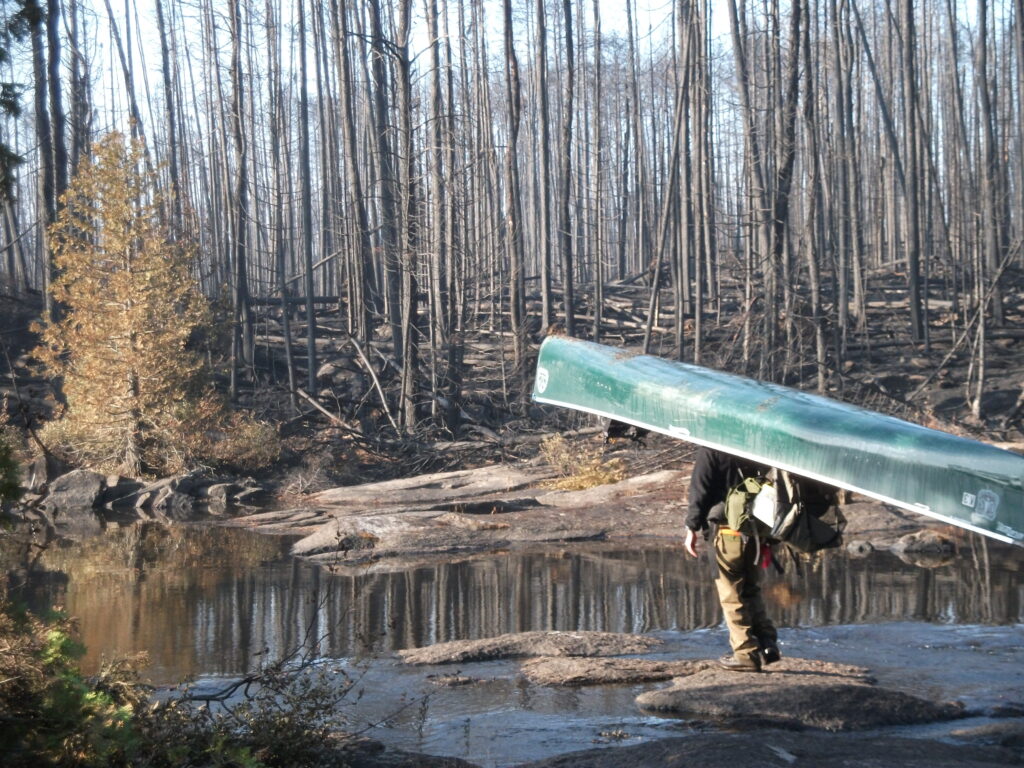 Wilderness ranger portaging a USFS canoe through burned Boundary Waters forest. U.S. Forest Service via InciWeb. Public domain.